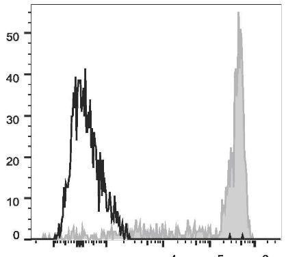 GenieFluor 647 Anti-Human CD11b Antibody [ICRF44] (AGEL1758)