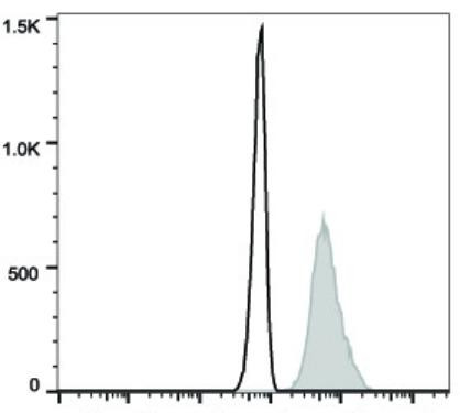 FITC Anti-Human CD107a/LAMP-1 Antibody [H4A3] (AGEL1774)