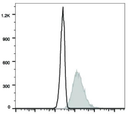 PE Anti-Human CD107a/LAMP-1 Antibody [H4A3] (AGEL1775)