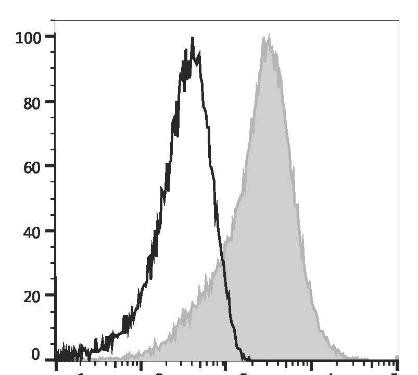 PE Anti-Human CD184/CXCR4 Antibody [12G5] (AGEL1797)