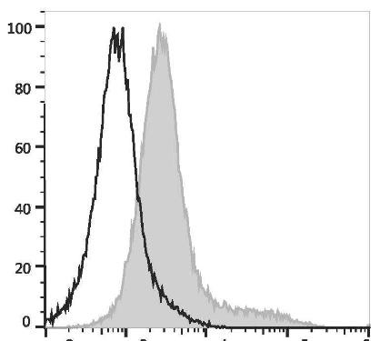 APC Anti-Human CD206 Antibody [15-2] (AGEL1815)