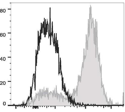 PerCP/Cyanine5.5 Anti-Mouse CD14 Antibody [Sa14-2] (AGEL1869)