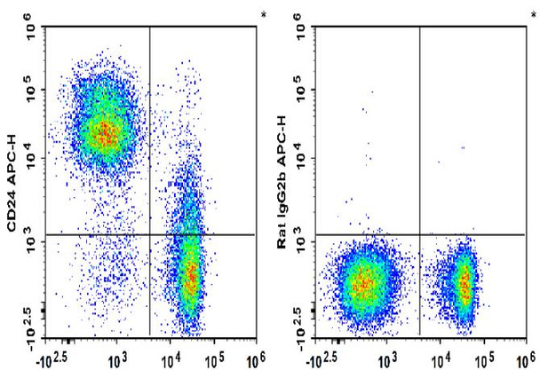 APC Anti-Mouse CD24 Antibody [M1/69] (AGEL1893)