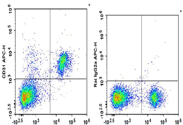 APC Anti-Mouse CD31 Antibody [390] (AGEL1911)