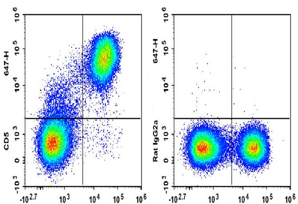 GenieFluor 647 Anti-Mouse CD5 Antibody [53-7.3] (AGEL1968)
