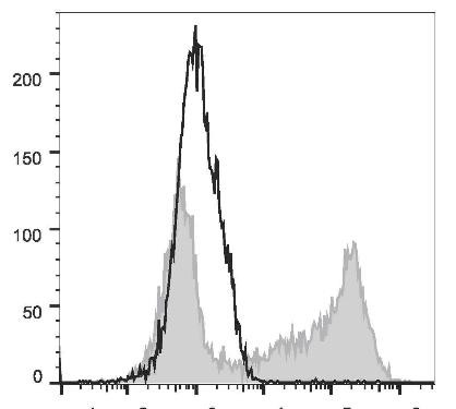APC Anti-Mouse IL-2 Antibody [JES6-5H4] (AGEL2050)