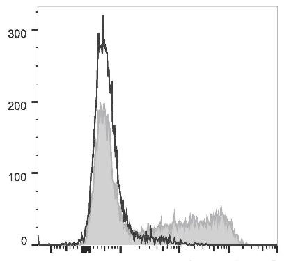 APC Anti-Mouse IL-6 Antibody [MP5-20F3] (AGEL2074)