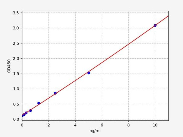 Mouse CD19 ELISA Kit