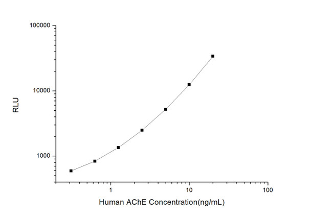 Human AChE (Acetylcholinesterase) CLIA Kit (HUES00187)