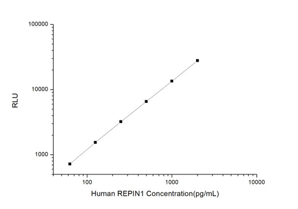 Human REPIN1 (Replication Initiator 1) CLIA Kit (HUES00982)