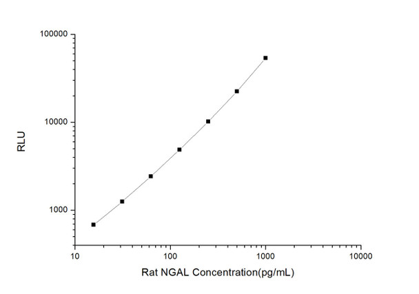 Rat NGAL (Neutrophil Gelatinase Associated Lipocalin) CLIA Kit (RTES00408)