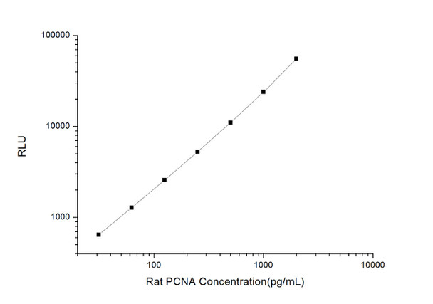 Rat PCNA (Proliferating Cell Nuclear Antigen) CLIA Kit (RTES00472)