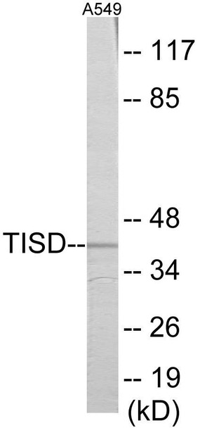TISD Colorimetric Cell-Based ELISA