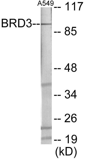 BRD3 Colorimetric Cell-Based ELISA