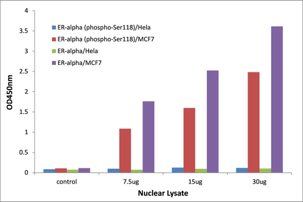 Estrogen Receptor-alpha (Phospho-Ser118) Transcription Factor Activity Assay