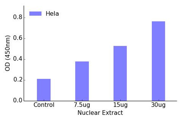 SP1 Transcription Factor Activity Assay