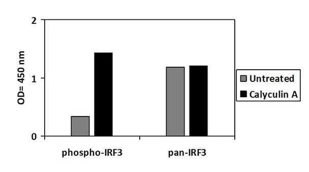Human Phospho-IRF-3 (S386) and Total IRF-3 PharmaGenie ELISA Kit (SBRS1864)
