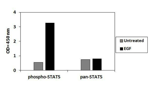 Human Phosphotyrosine STAT4 PharmaGenie ELISA Kit (SBRS1989)
