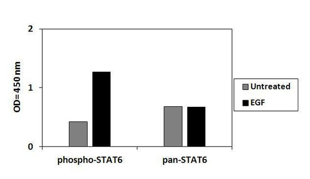 Human Phosphotyrosine SYK PharmaGenie ELISA Kit (SBRS1996)