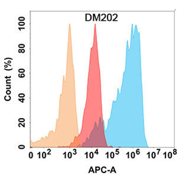 Anti-CD56 Recombinant Rabbit Monoclonal Antibody (HDAB0193)