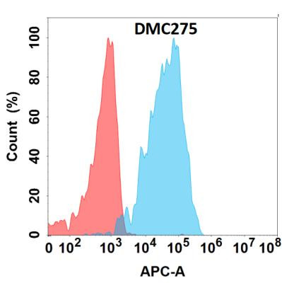 Anti-ALB Chimeric Recombinant Rabbit Monoclonal Antibody (HDAB0233)