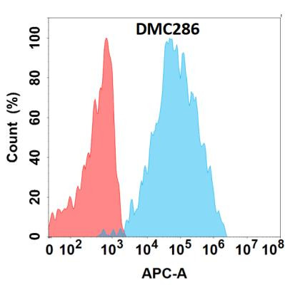 Anti-SLAMF5 Chimeric Recombinant Rabbit Monoclonal Antibody (HDAB0244)