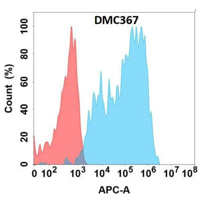 Anti-ICAM-1 Chimeric Recombinant Rabbit Monoclonal Antibody (HDAB0250)