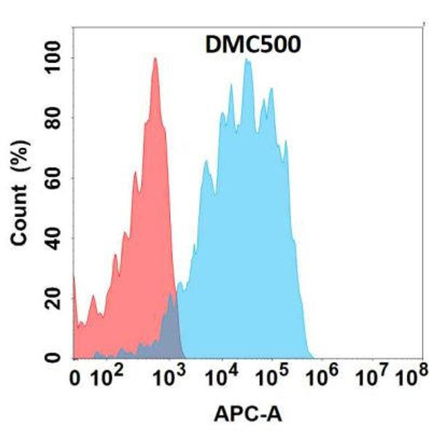 Anti-HBEGF Chimeric Recombinant Rabbit Monoclonal Antibody (HDAB0323)