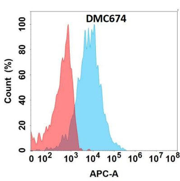 Anti-CD74 Chimeric Recombinant Rabbit Monoclonal Antibody (HDAB0325)