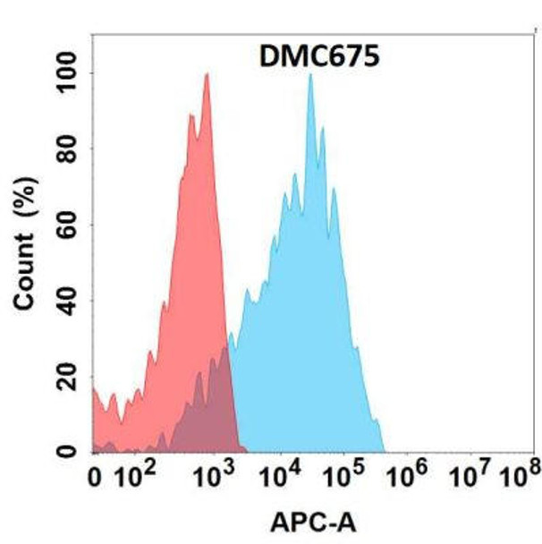 Anti-CDH6 Chimeric Recombinant Rabbit Monoclonal Antibody (HDAB0326)