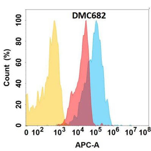 Anti-CD166 Chimeric Recombinant Rabbit Monoclonal Antibody (HDAB0330)