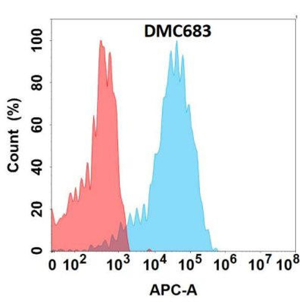 Anti-TENM4 Chimeric Recombinant Rabbit Monoclonal Antibody (HDAB0331)