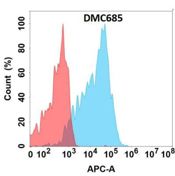 Anti-CEACAM6 Chimeric Recombinant Rabbit Monoclonal Antibody (HDAB0333)