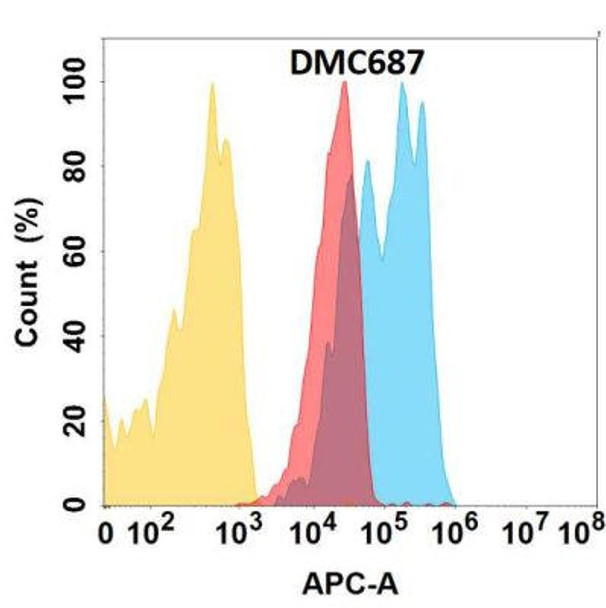 Anti-CXADR Chimeric Recombinant Rabbit Monoclonal Antibody (HDAB0335)