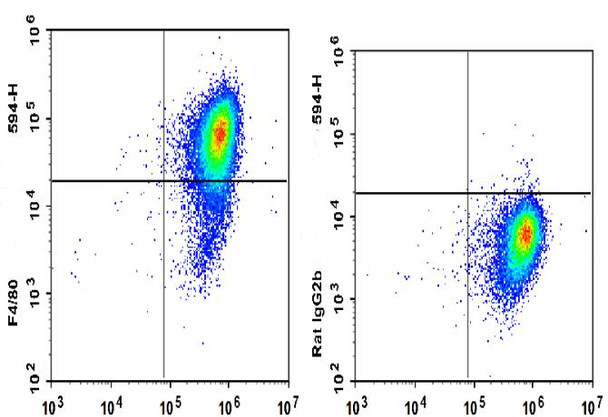 PE/GenieFluor 594 Anti-Mouse F4/80 Antibody [CI:A3-1] (AGEL3178)