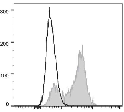 PerCP Anti-Human CD5 Antibody [UCHT2] (AGEL3200)