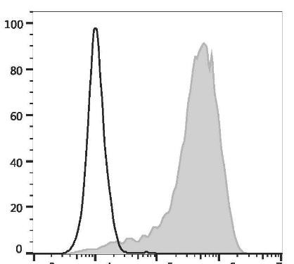 FITC Anti-Mouse CD107a Antibody [1D4B] (AGEL3286)