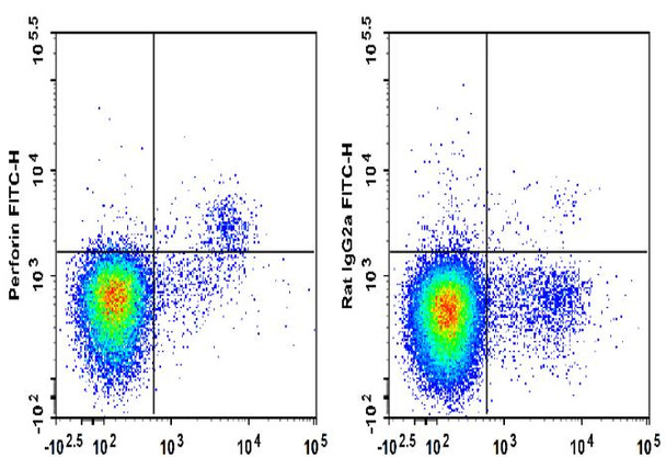 FITC Anti-Mouse Perforin Antibody [S16009A] (AGEL3310)