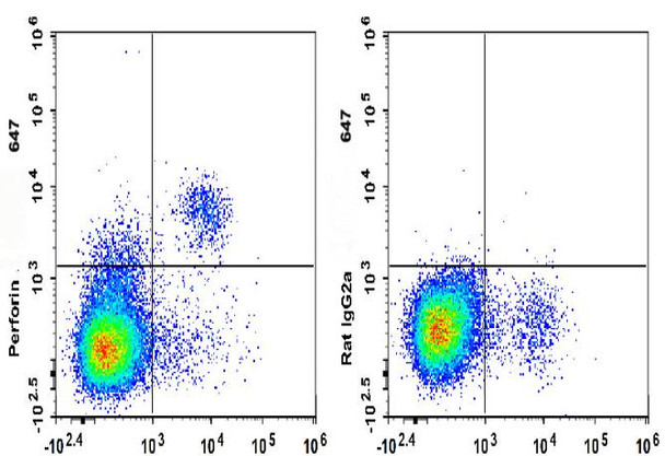 GenieFluor 647 Anti-Mouse Perforin Antibody [S16009A] (AGEL3312)