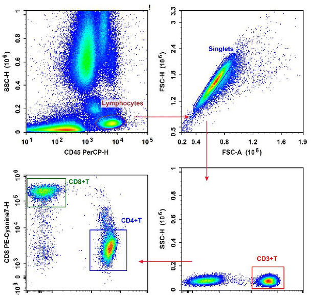 Anti-Human CD3-FITC/CD4-PE/CD8a-PE/Cyanine7/CD45-PerCP Cocktail (AGEL3316)