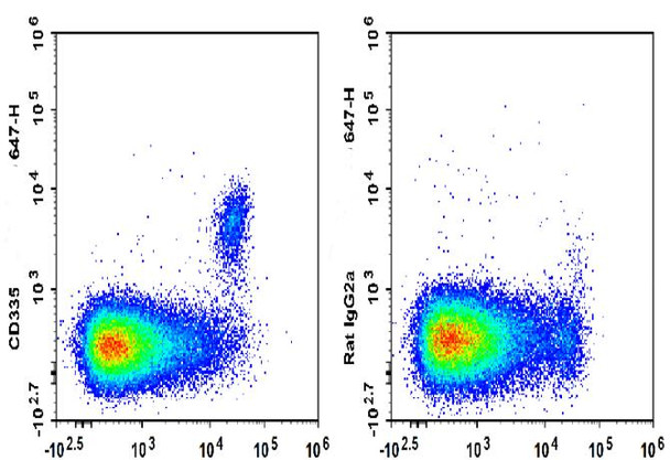 GenieFluor 647 Anti-Mouse CD335 Antibody [29A1.4] (AGEL3333)
