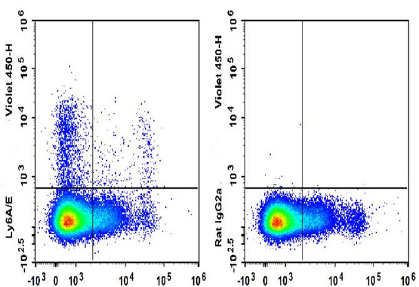 GenieFluor Violet 450 Anti-Mouse Ly6A/E(Sca-1) Antibody [D7] (AGEL3345)