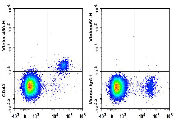 GenieFluor Violet 450 Anti-Human CD40 Antibody [G28.5] (AGEL3346)