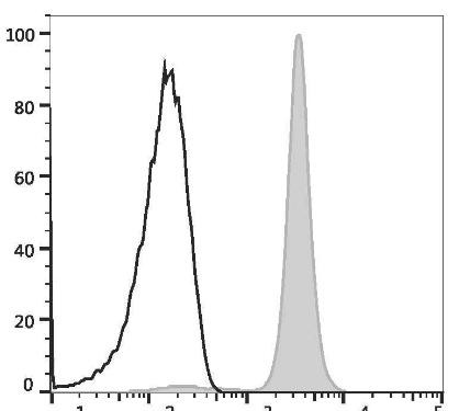GenieFluor Violet 450 Anti-Mouse CD45.2 Antibody [104.2] (AGEL3362)