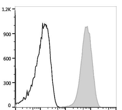 GenieFluor Violet 450 Anti-Human CD61 Antibody [VI-PL2] (AGEL3368)