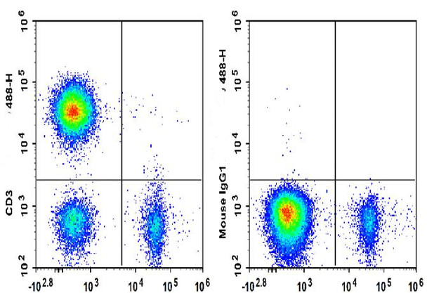 GenieFluor 488 Anti-Human CD3 Antibody [UCHT1] (AGEL3384)