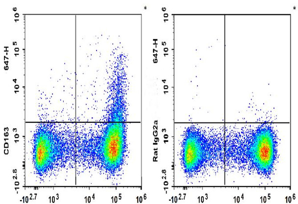 GenieFluor 647 Anti-Mouse CD163 Antibody [S15049F] (AGEL3396)