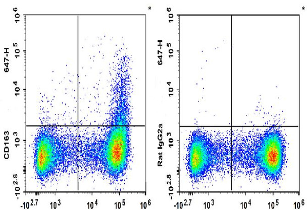 GenieFluor 647 Anti-Mouse CD163 Antibody [S15049F] (AGEL3398)