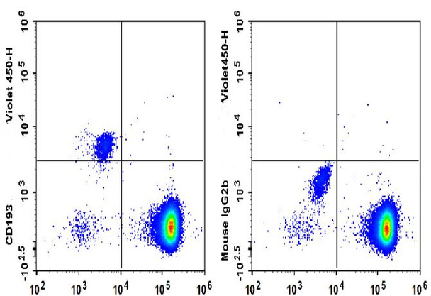 GenieFluor Violet 450 Anti-Human CD193/CCR3 Antibody [5E8] (AGEL3408)