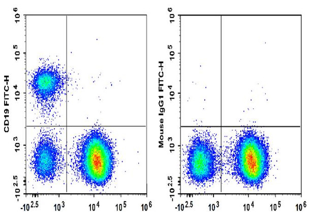 FITC Anti-Human CD19 Antibody [HI19a] (AGEL3409)